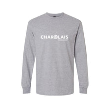 Load image into Gallery viewer, AICA: Grey Long Sleeve T-shirt
