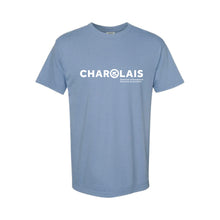 Load image into Gallery viewer, CHAR: Comfort Colors T-Shirt
