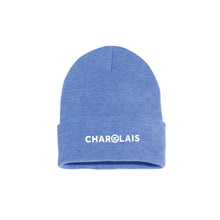 Load image into Gallery viewer, CHAR: Cuffed Beanie
