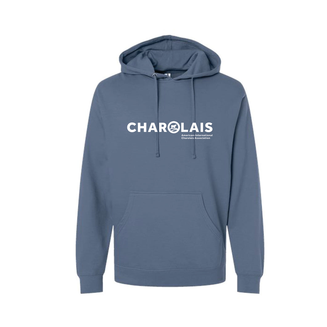 CHAR: Blue Hoodie