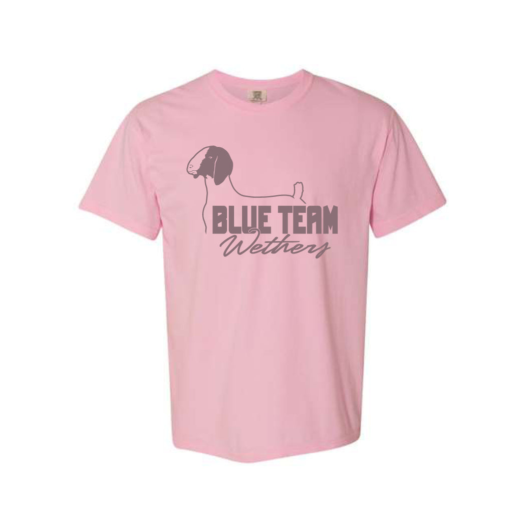 BTW: Pink Comfort Colors T-Shirt *AVAILABLE IN YOUTH AND ADULT!*