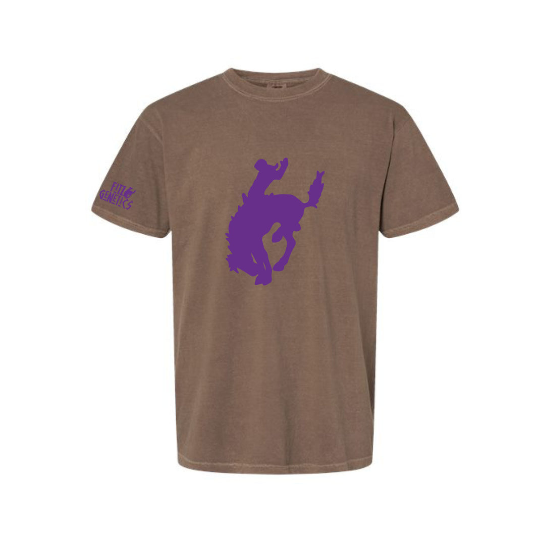 Fitz: Comfort Colors T-Shirt- Espresso