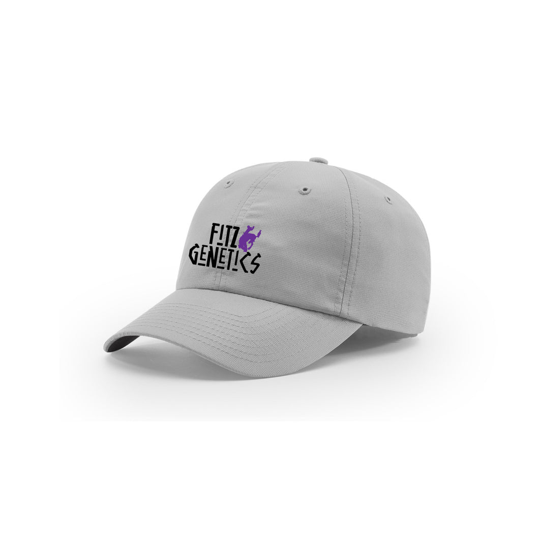 Fitz: Light Grey Unstructured Cap